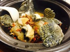 -真浪大家乐海鲜餐馆
