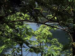 -武陵山森林公园