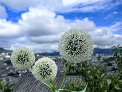 -丽江古城第一观景台