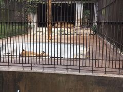 -广东茂名森林公园