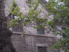 -山东大学(趵突泉校区)
