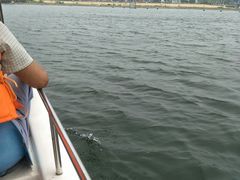 -泰山天颐湖旅游度假区
