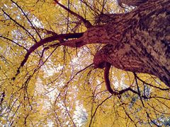 -西南民族大学南区(双流校区)