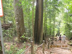 -武吉知马自然保护区