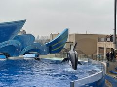 -上海海昌海洋公园