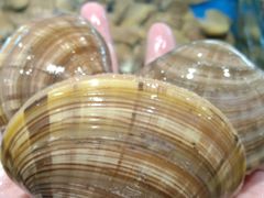 -青石桥市场北1-27号