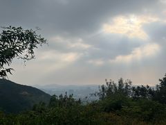 -树山生态村
