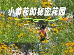 -宁波儿童公园(鄞州区)