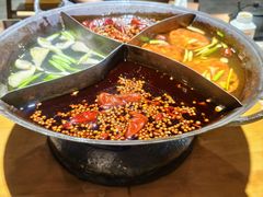 -白乐天毛肚火锅馆(南滨路店)