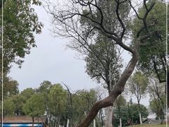 -合肥野生动物园