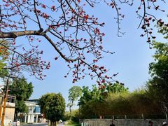 -广州市紫泥堂文化创意园景区