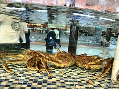 -顺德了能馆(虎门店)