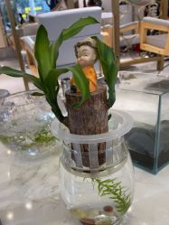 点击看大图 -菲·木田moontin造型salon