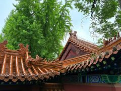-戏马台景区