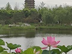 -西海子公园