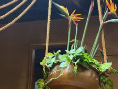 -云海肴·汽锅鸡·云南菜(天津国金汇店)