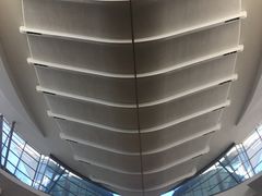 -奥利弗·雷金纳德·坦博国际机场