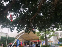 -香洲港码头