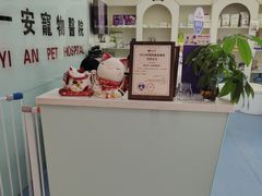 -特一安24小时宠物医院·骨科·中兽医