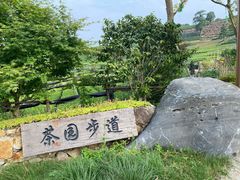-龙坞茶村