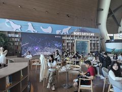 -抱抱地球咖啡馆(国家海洋博物馆店)