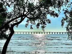 -宝安西湾红树林湿地公园