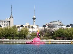 -莲花池公园