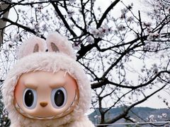 -四门塔风景区