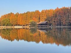 -采石矶景区