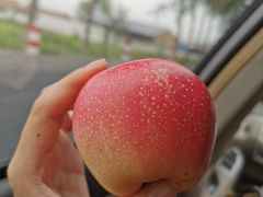 -扁都口生态休闲旅游区