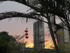 -观澜湖旅游度假区