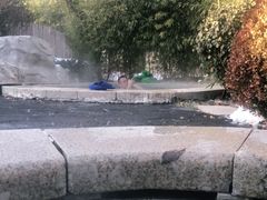 -大连金石滩绿发温泉假日酒店