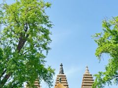 -北京石刻艺术博物馆(五塔寺)