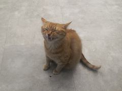 -JOJO实景沉浸侦探剧本杀(大悦城店)