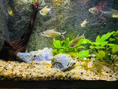 -上海海洋水族馆