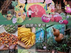 -呀路古热带植物园