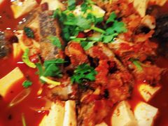 -煲来饱去冷水鱼