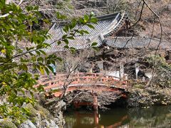 -醍醐寺