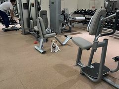 -YCHL Studios健身工作室(市二宫店)
