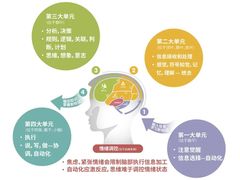 -多特儿童专注力·感统训练·注意力提升培训(锦峰训练中心)