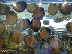 -福升海鲜洒楼