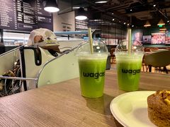 -Wagas沃歌斯(浦东机场店)