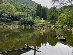 -深圳仙湖植物园