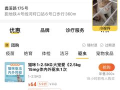 -关爱宠物医院·猫科中心·消化科(滨湖万达分院)