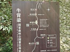 -牛背梁国家森林公园