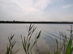 -绿堤公园