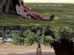 -CGV影城(东港IMAX店)