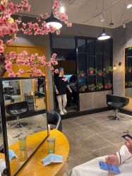 -时尚殿堂明星门店