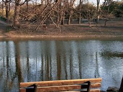 -上海共青森林公园