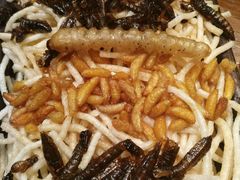 -云海肴·汽锅鸡·云南菜(天山百盛优客店)